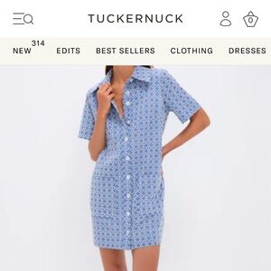 Pomander Place Blue and White Button-Front Shirt Dress